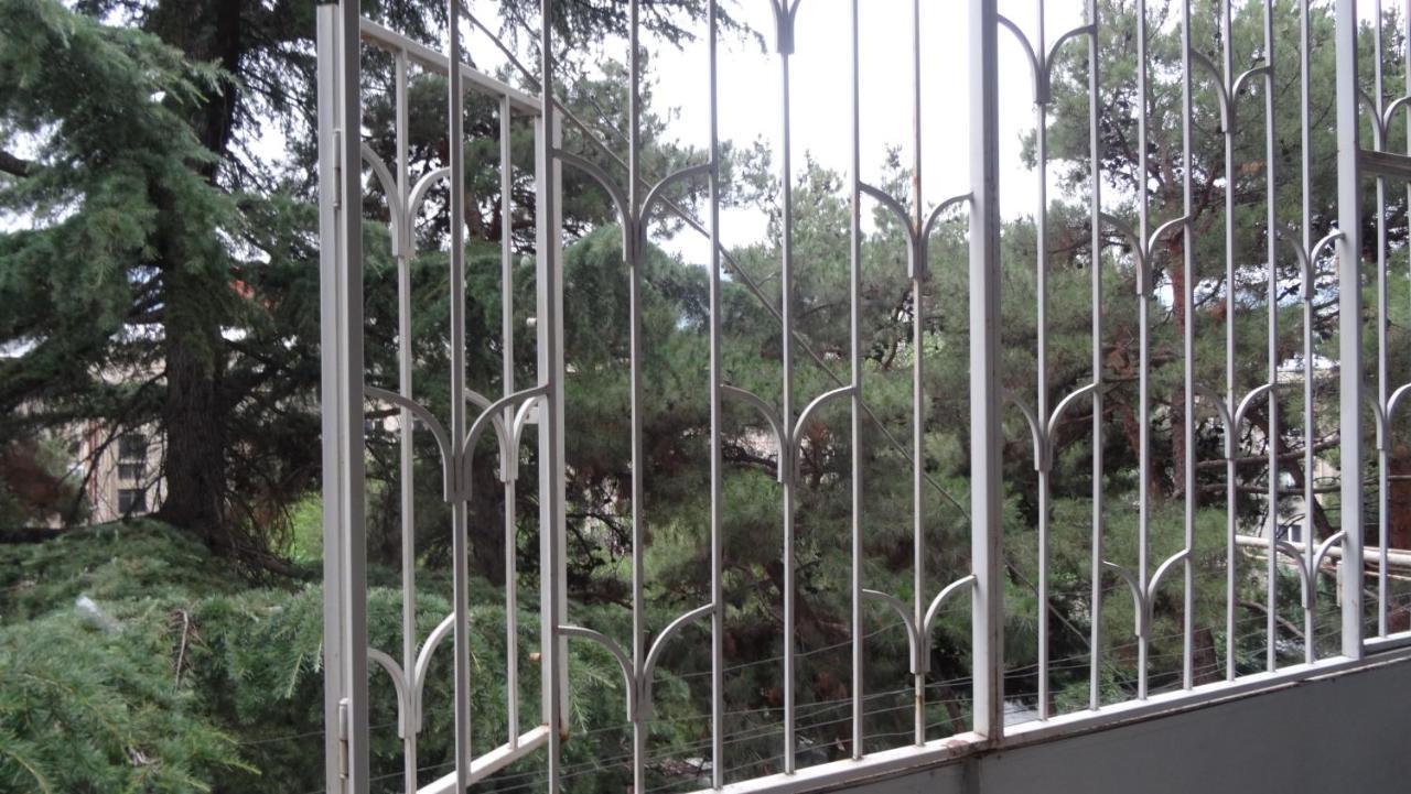 Apartment Vake-Saburtalo Tbiliszi Kültér fotó